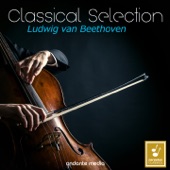 Classical Selection - Beethoven: String Quartet No. 15, Op. 132 & Grosse Fuge, Op. 133 artwork