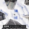 Flight 393