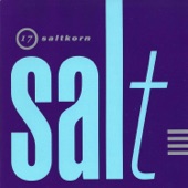 17 saltkorn artwork