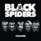 Stay Down - Black Spiders lyrics