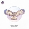 Winter Flight - EP