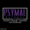 Stream & download Shandi the Remixes - Single