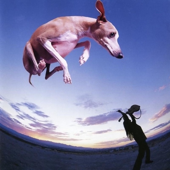 Cover artwork for Mr. Skin