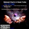 See the Light (Shik Stylko Instrumental Mix) - Roland Clark & Steal Vybe lyrics