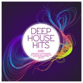 Deep House Hits 2016.1 artwork