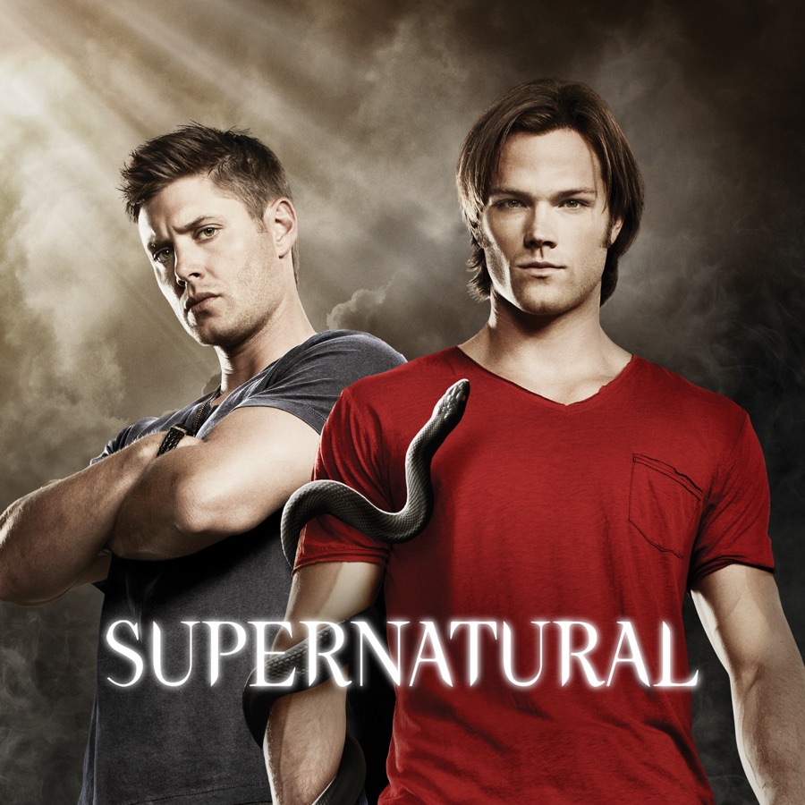 Supernatural, Season 6 wiki, synopsis, reviews - Movies Rankings!