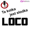 Stream & download Ta kotka jest słodka (Radio Edit) - Single