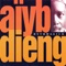 Soweto Funk (feat. Bill Laswell) - Aïyb Dieng lyrics