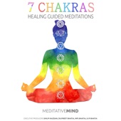 7 Chakras Healing Guided Meditations artwork