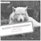 White Wolf (Sergey Shvets Remix) - Alexey Ryasnyansky lyrics