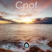 Cnof - Where You Are
