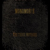 Monomorte - My Mirrors Are Black