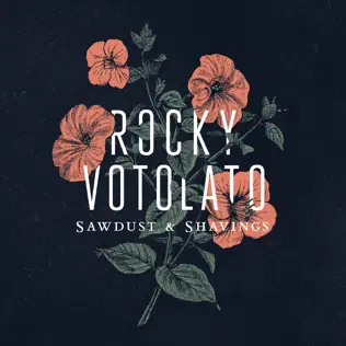 lataa albumi Rocky Votolato - Sawdust Shavings