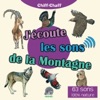 Peter Bonello - Les autres animaux - Criquet verdelet