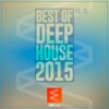 Best of Deep House 2015, Vol. 06