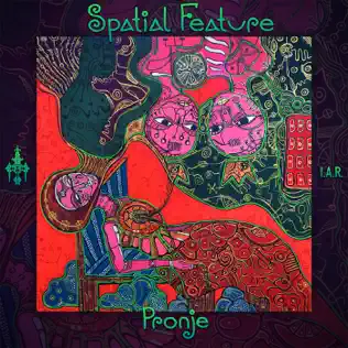 descargar álbum Spatial Feature - Pronje