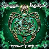Cosmic Turtle artwork