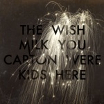 The Milk Carton Kids - Wish You Were Here