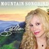 Mountain Songbird, 2016