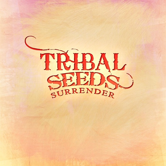Cover artwork for Surrender