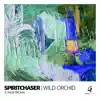 Wild Orchid (feat. Angie Brown) - Single album lyrics, reviews, download