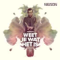 Nielson - Nachtdienst