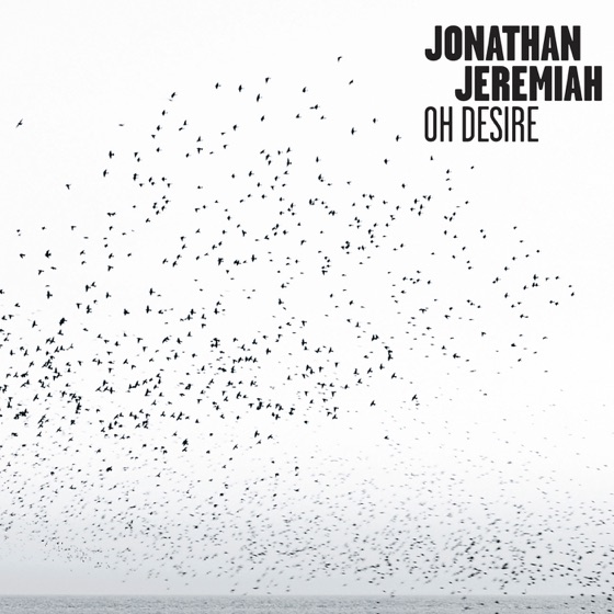 Cover artwork for Wild Fire