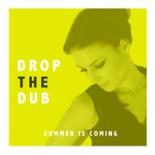 Drop The Dub (Put a Little Love into Your Heart) artwork
