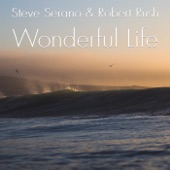 Wonderful Life artwork