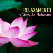 Relaxamento e Sons da Natureza - Musicas para uma Melhor Meditação, Completa Tranquilidade e Sono Profundo Reparador artwork