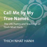 Thích Nhất Hạnh - Call Me by My True Names: The Life Poetry and Teachings of Thich Nhat Hanh artwork