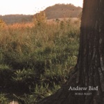 Andrew Bird - Oh No