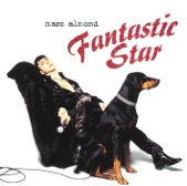 Fantastic Star, 1996