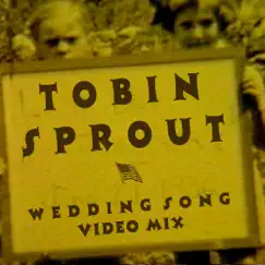 Wedding Song (Video Mix) - Single by Tobin Sprout album reviews, ratings, credits