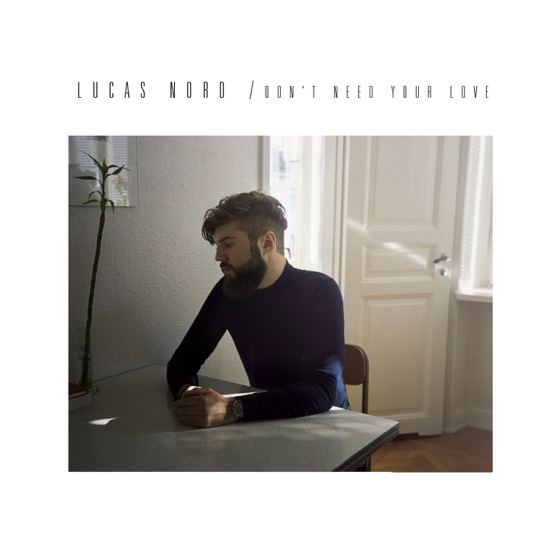Cover artwork for Don't Need Your Love