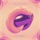Echodust - Runaway