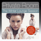 Private Room, the Winter Lounge Session 2016 (The Best in Lounge, Downtempo Grooves and Ambient Chillers) - Various Artists