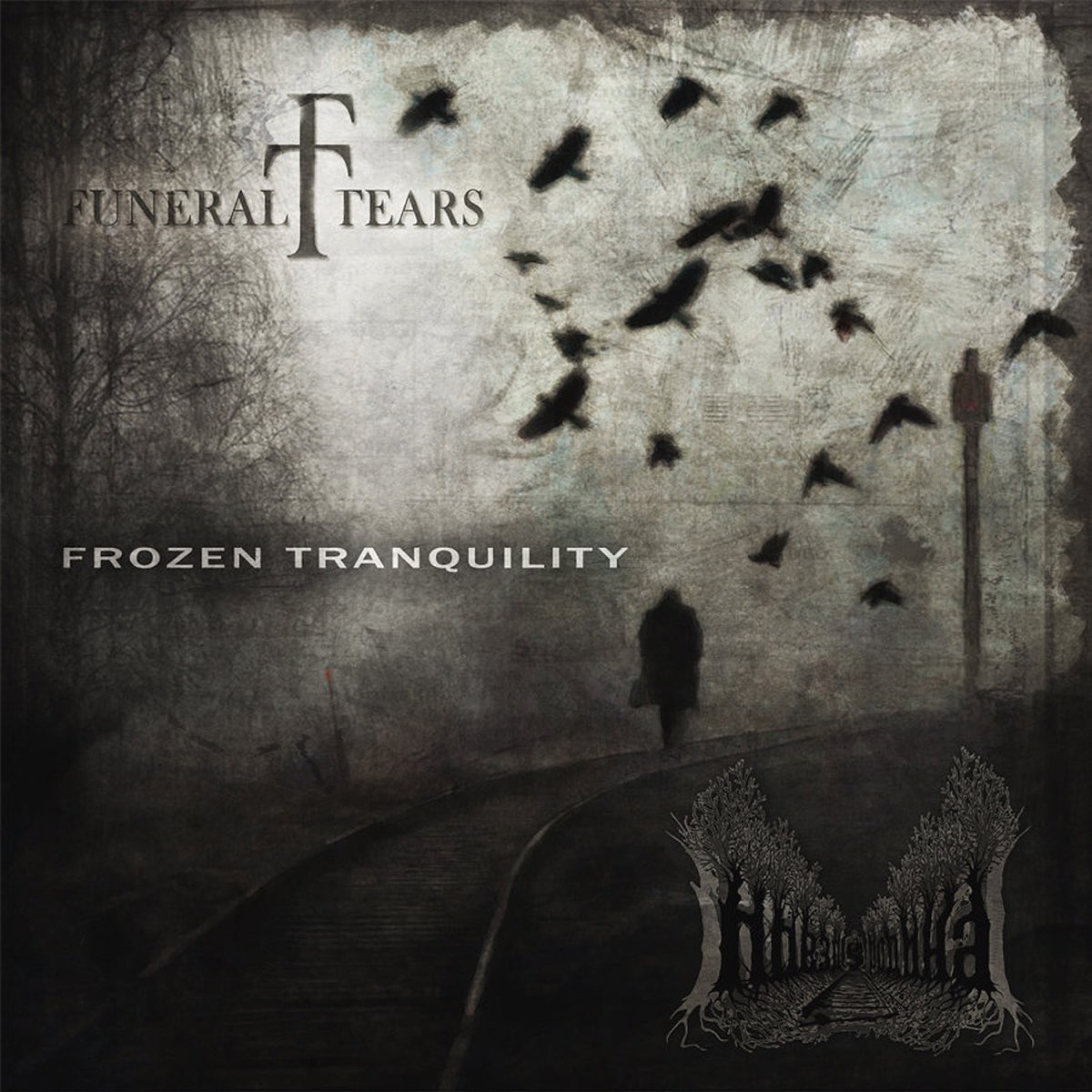 Frozen tears. Funeral tears your Life my Death. Dark Tranquillity Projector (20 years Anniversary Edition).
