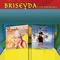 No Me Amenaces - Briseyda y Los Muchachos lyrics