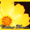Chillout Flowers, Vol. 5 (Cool Grooves)