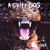 A Giant Dog - I'll Come Crashing