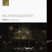 String Quartet in D minor: Allegro artwork