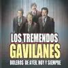 Boleros De Ayer, Hoy y Siempre album lyrics, reviews, download