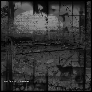 ladda ner album Anoice - No Room Here
