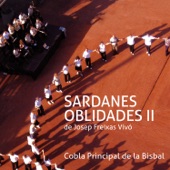 Sardanes Oblidades II artwork