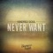 Never Want (Slipz & Dapz Bassline Remix) - Kindred Soul lyrics