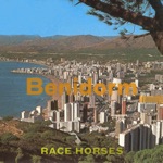 Race Horses - Benidorm