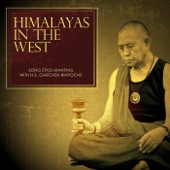 Medicine Buddha (feat. Khenpo Samdup, Forrest Tobey & Lynnell Lewis) artwork