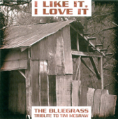 I Like It, I Love It: The Bluegrass Tribute to Tim McGraw - Pickin' On Series