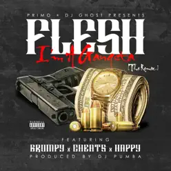 I'm a Gangsta (Remix) [feat. Grumpy, Cheats, Happy] - Single - Flesh